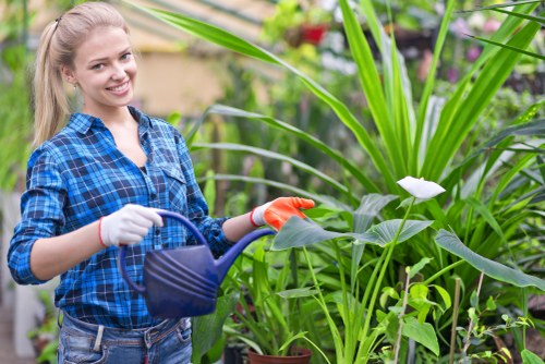 Payment methods list for Palmers Green gardener services