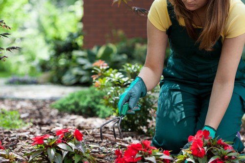 Local Palmers Green gardener working on landscaping and lawn care