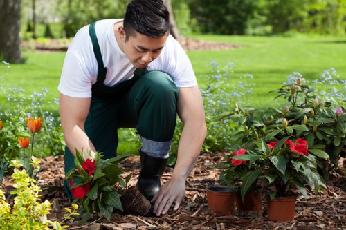Sustainable gardening practices by Gardener Palmers Green