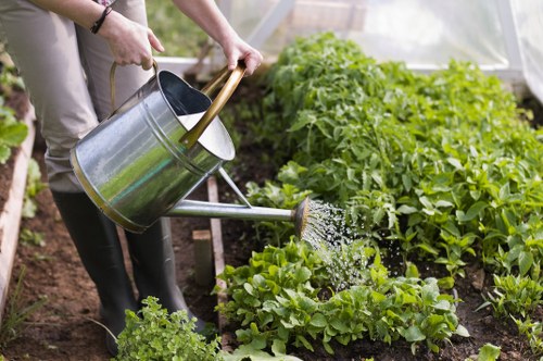 Expert gardener from Palmers Green transforming a backyard